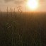 thumbs/IMG_0695.jpg